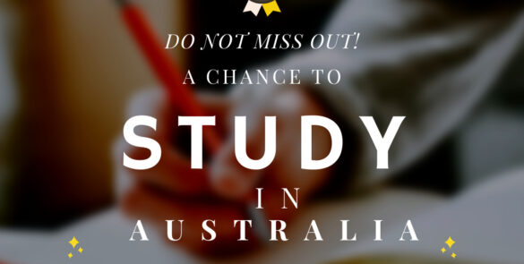 Popular Study Fields to Study in Australian Universities